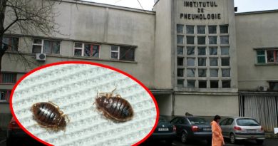 Institutul „Marius Nasta” din București se confruntă cu o nouă criză de igienă, după ce ploșnițele au reapărut în saloanele spitalului, în ciuda operațiunilor repetate de dezinsecție începute pe 12 februarie. Patru secții urmează să fie parțial închise, iar peste 30 de pacienți au fost deja relocați. Conducerea invocă faptul că insectele ar fi fost aduse de pacienți de acasă, în timp ce internările au fost limitate temporar. Specialiștii atrag atenția că problema necesită tratamente riguroase și repetate, deoarece ploșnițele sunt dificil de eradicat.