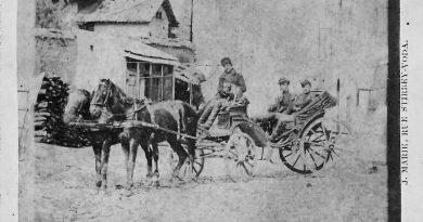 Trăsură cu doi cai pe strada Știrbei Vodă, fotografie istorică realizată de Jules Marie în Bucureștiul secolului XIX
