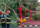 incident grav parc tineretului