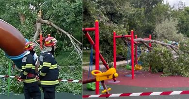 incident grav parc tineretului
