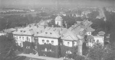 Vedere cu Manastirea Cotroceni