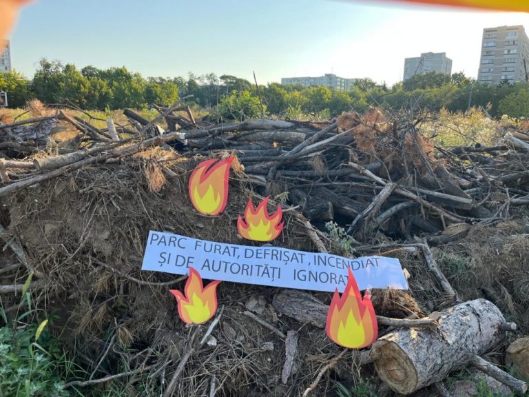 Defrisari in Parcul IOR