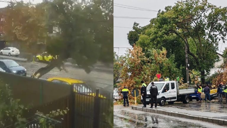 Copac doborât de furtună peste o mașină galbenă pe o stradă aglomerată, poliția și muncitorii intervin pentru degajarea carosabilului