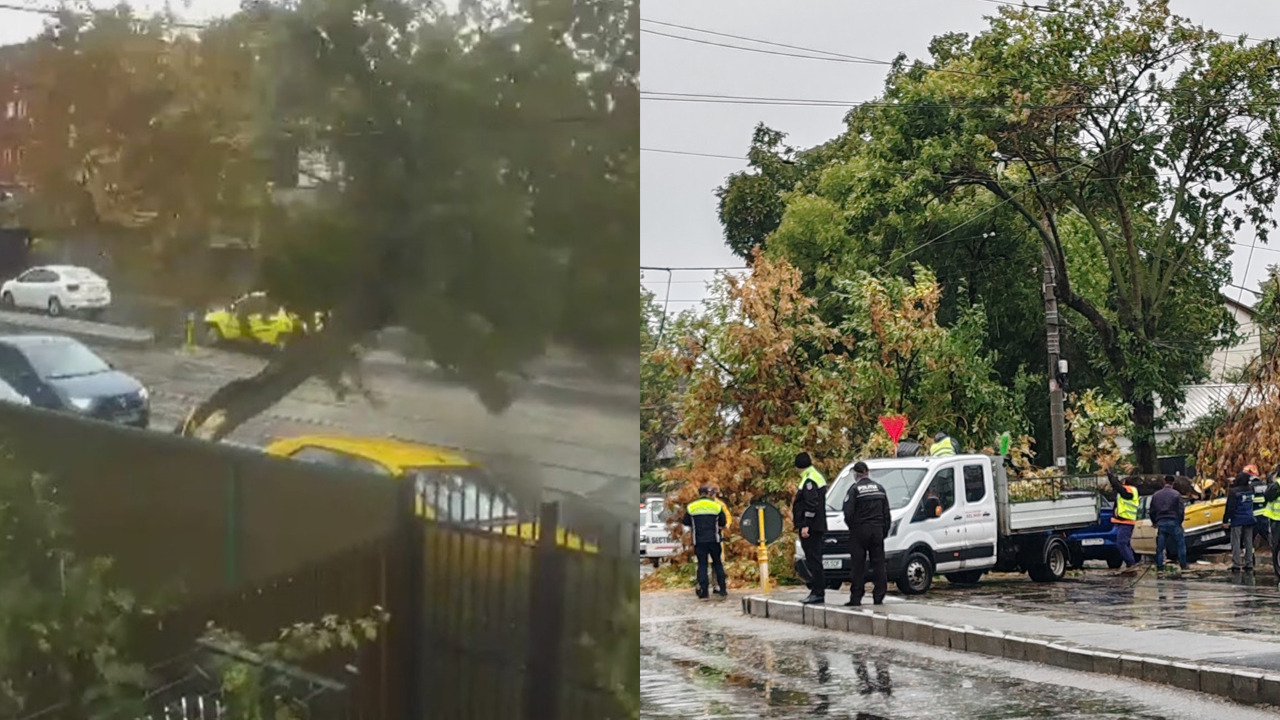 Copac doborât de furtună peste o mașină galbenă pe o stradă aglomerată, poliția și muncitorii intervin pentru degajarea carosabilului