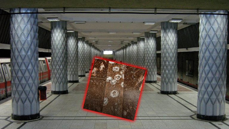 Fosile vizibile în pardoseala stației de metrou Politehnica din București, integrate în plăcile de marmură, într-un decor urban modern.