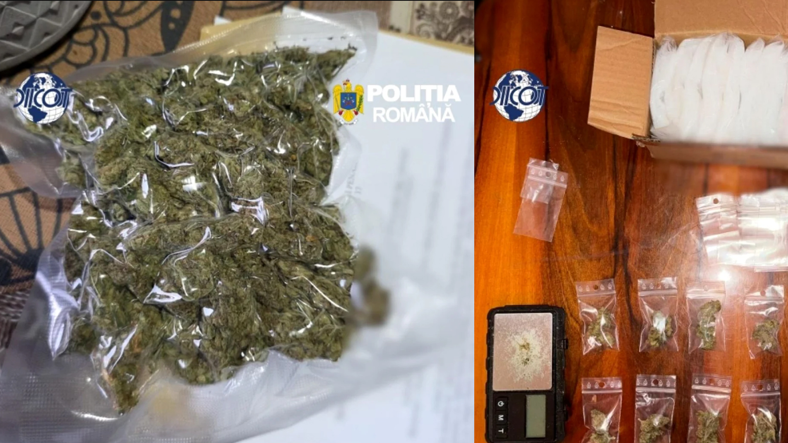 Captură de droguri realizată de DIICOT și Poliția Română, constând în cannabis ambalat în pungi vidate, plicuri pentru distribuție și un cântar electronic utilizat pentru porționare.