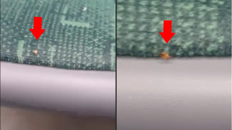 Imagine surprinsă într-un mijloc de transport STB, cu săgeți roșii care indică presupuse ploșnițe observate pe tapițeria unui scaun și în apropierea acestuia.