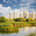 Blocurile Asmita Gardens văzute din Delta Văcărești, București, cu lac, stuf și vegetație în prim-plan