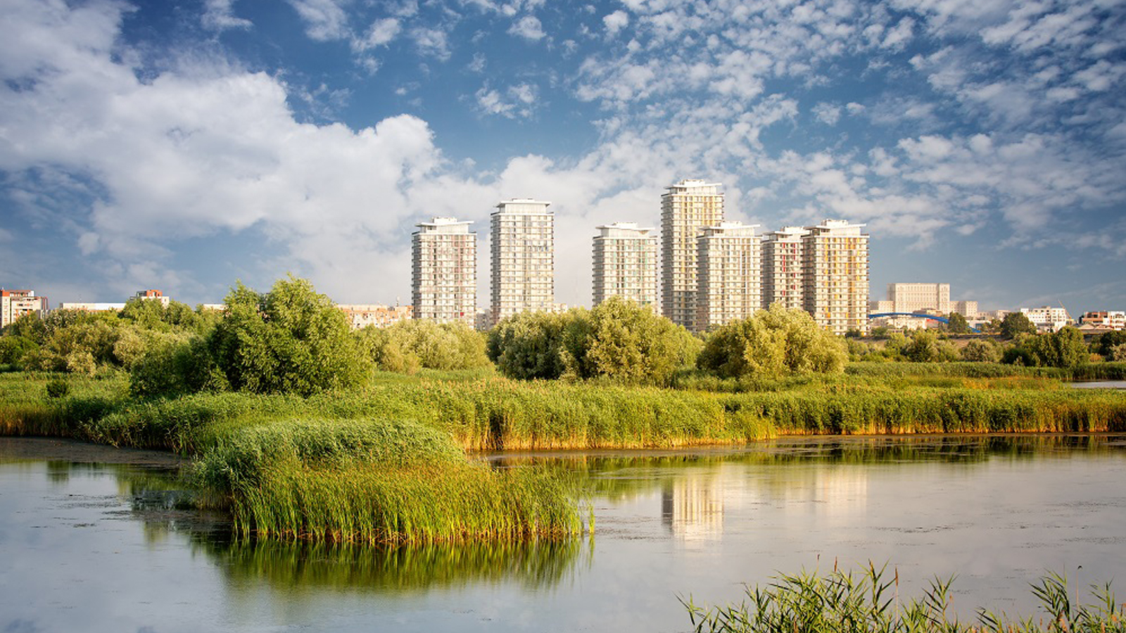 Blocurile Asmita Gardens văzute din Delta Văcărești, București, cu lac, stuf și vegetație în prim-plan
