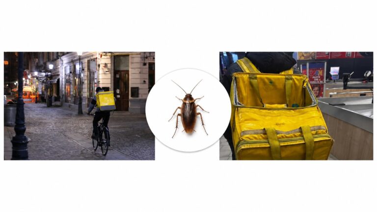Curier pe bicicletă și geantă termoizolantă galbenă de livrare, ilustrând riscul prezenței gândacilor în transportul alimentelor.